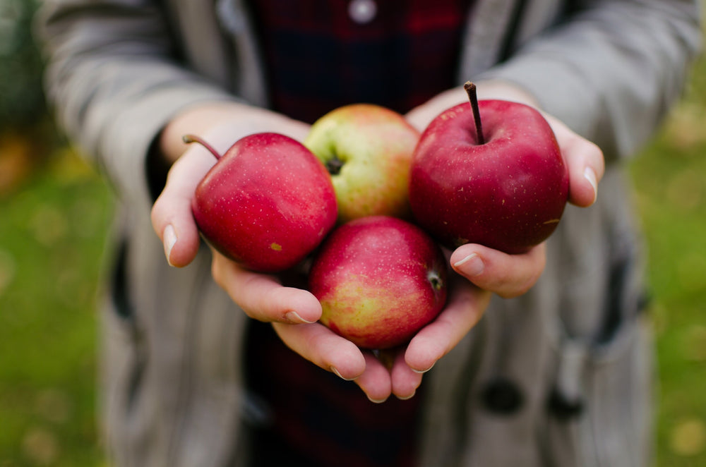 Apple Cider Vinegar Benefits:  Drinking Your Way to Good Health
